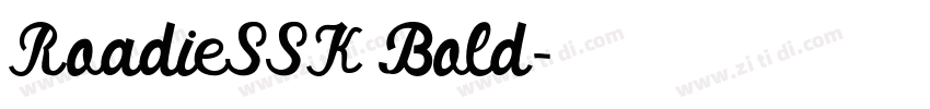 RoadieSSK Bold字体转换